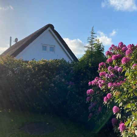 Ferienhaus Butterblume Sudbrookmerland Екстер'єр фото
