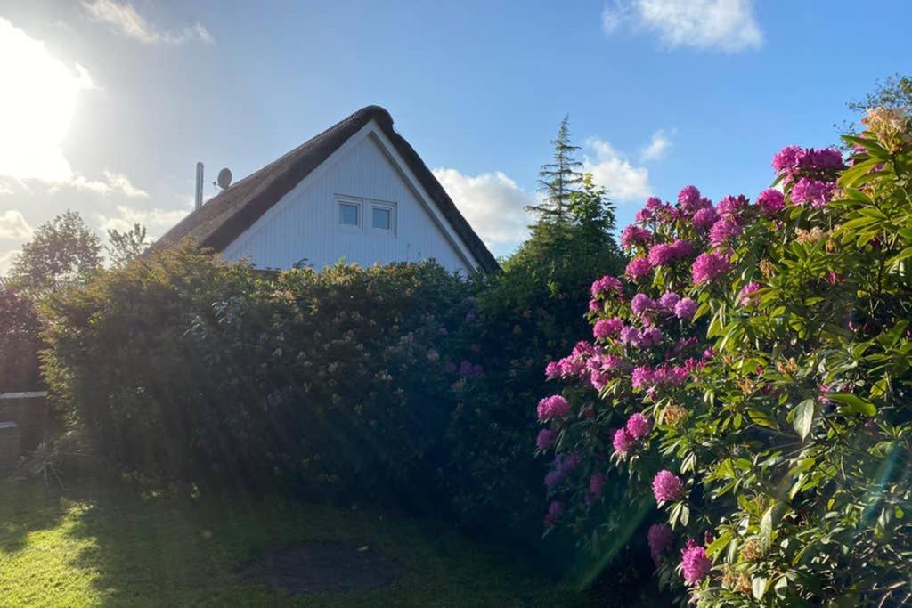 Ferienhaus Butterblume Sudbrookmerland Екстер'єр фото